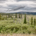 Dalton Highway III