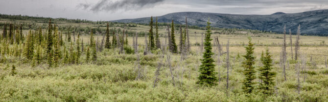 Dalton Highway III