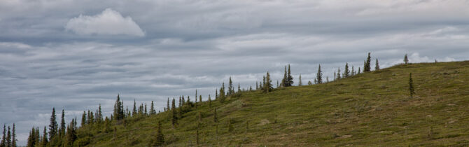 Dawson City I