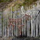 Dempster Highway