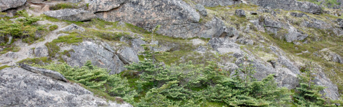Skagway