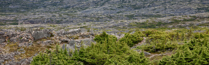 Skagway North