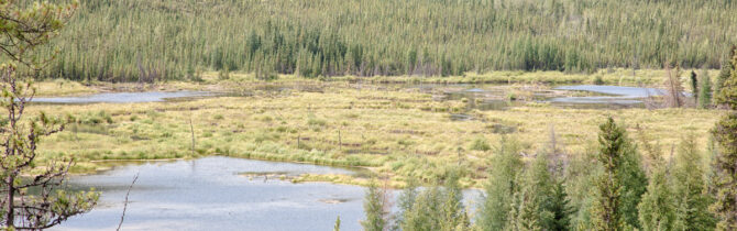 Muncho Lake