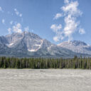 Icefields Again