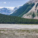 Icefields Again