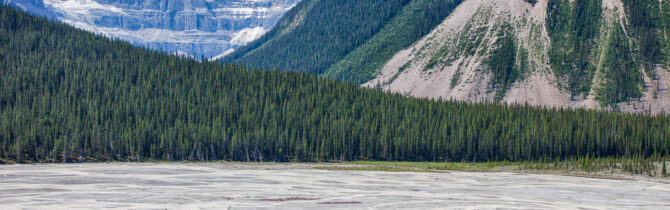 Icefields Again