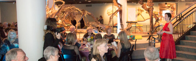 Women’s Way Fall Gala 2014