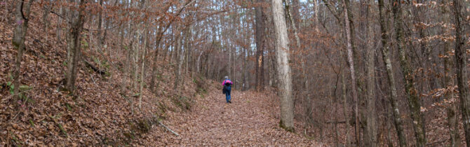 Tannehill State Historical Park