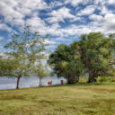 Crooked Tree Bird Sanctuary