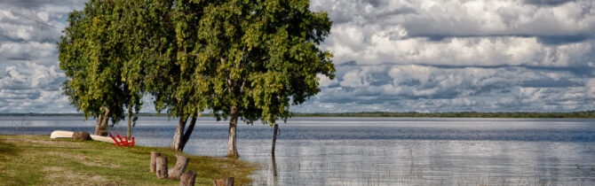 Crooked Tree Bird Sanctuary