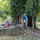 Mayflower Bocawina National Park
