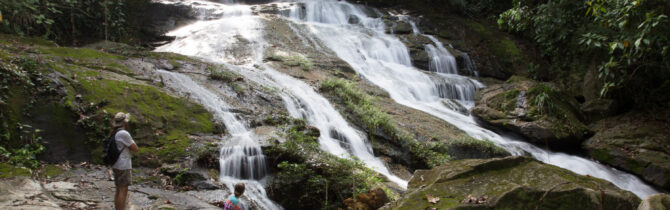 Mayflower Bocawina National Park
