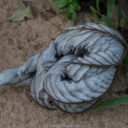 Mayflower Bocawina National Park