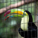 Hopkins to Belize City and Back