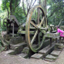 Serpon Sugar Mill