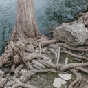 McKinney Falls State Park