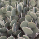 Big Bend