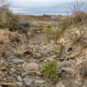 Ross Maxwell Scenic Drive