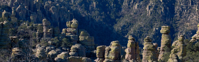 Chiricahua Hiking