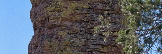 Chiricahua Hiking