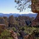 Chiricahua Hiking