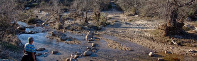 Catalina State Park: Day 1