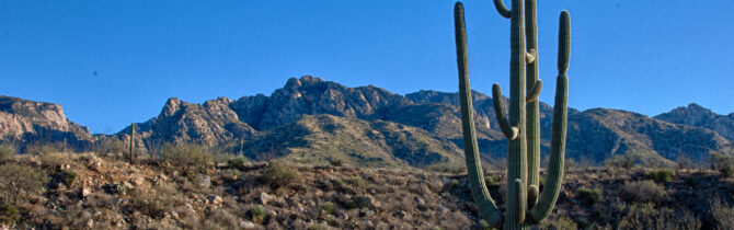 Catalina State Park: Day 1