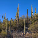 Catalina State Park: Day 1