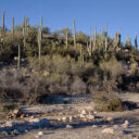 Catalina State Park: Day 1