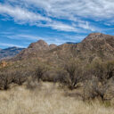 Catalina State Park: Day 2