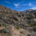 Catalina State Park: Day 2