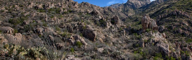 Catalina State Park: Day 2