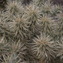 Catalina State Park: Day 2