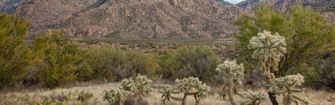 Catalina State Park: Day 2