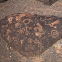 Petroglyph Campground