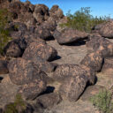 Petroglyph Campground