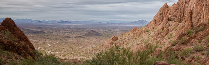 Palm Canyon