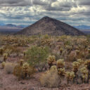 A Walk in the Desert