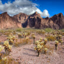 A Walk in the Desert