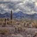 A Walk in the Desert