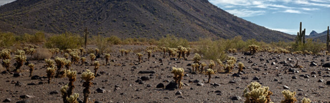 Buckeye AZ