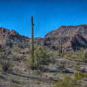 Ajo AZ