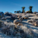 Joshua Tree National Park