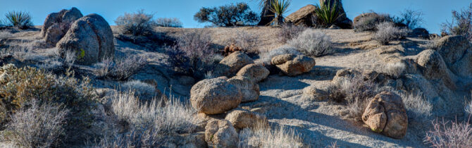 Joshua Tree National Park