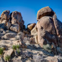 Joshua Tree National Park