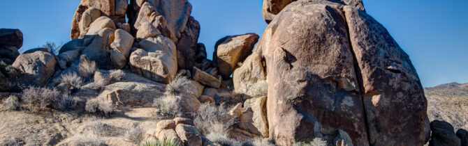 Joshua Tree National Park