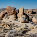 Joshua Tree National Park