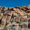 Joshua Tree National Park