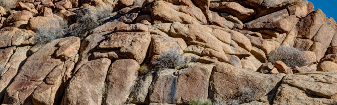 Joshua Tree National Park