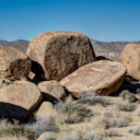 Joshua Tree National Park